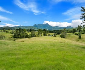 Rural / Farming commercial property for sale at Midginbil Road Murwillumbah NSW 2484