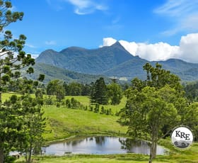 Rural / Farming commercial property for sale at 24 Midginbil Road Midginbil NSW 2484