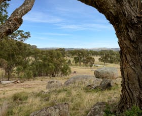 Rural / Farming commercial property sold at 1332 Carlwood Road O'connell NSW 2795