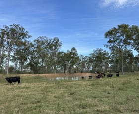 Rural / Farming commercial property for sale at 99 Valley Run Road Boyne Valley QLD 4680