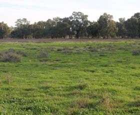 Rural / Farming commercial property for sale at 13300 Lachlan Valley Way Condobolin NSW 2877