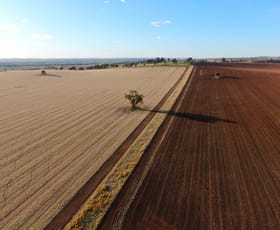 Rural / Farming commercial property for sale at Byrnes Road Junee NSW 2663