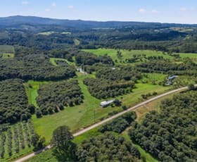 Rural / Farming commercial property for sale at 100 Fraser Road Dunoon NSW 2480