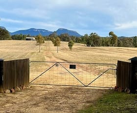 Rural / Farming commercial property for sale at 2812 Glen Alice Road Rylstone NSW 2849
