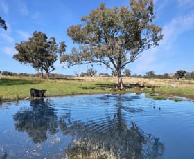 Rural / Farming commercial property for sale at 2527 Sofala Road Wiagdon NSW 2795