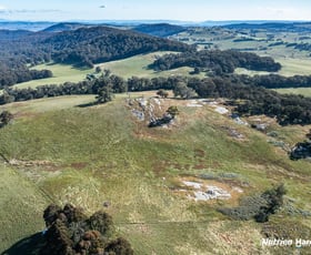 Rural / Farming commercial property for sale at 455 Tames Road Strathbogie VIC 3666