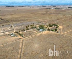 Rural / Farming commercial property for sale at 180 Schulzs Road Black Hill SA 5353