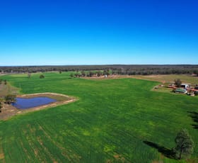 Rural / Farming commercial property for sale at 'Springfield' 345 Albert Road Tottenham NSW 2873