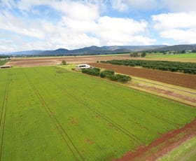 Rural / Farming commercial property for sale at Tolga QLD 4882