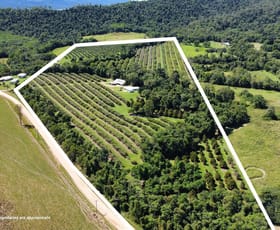 Rural / Farming commercial property for sale at 281 Dingo Pocket Rd Dingo Pocket QLD 4854 Rural / Farming commercial property for sale at 281 Dingo Pocket Rd Dingo Pocket QLD 4854