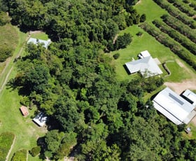 Rural / Farming commercial property for sale at 281 Dingo Pocket Rd Dingo Pocket QLD 4854