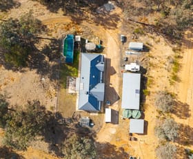 Rural / Farming commercial property for sale at 979 Four Mile Lane Little Billabong NSW 2644