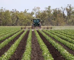 Rural / Farming commercial property sold at The Meadows & JK Aggregation, 655 Moonie Highway Dalby QLD 4405