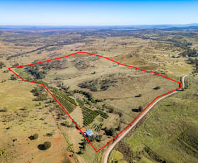 Rural / Farming commercial property for sale at 495 Wilson Valley Road Wilson Valley QLD 4625