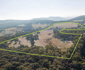 Rural / Farming commercial property for sale at 1370 Harrys Creek Road Marraweeney VIC 3669