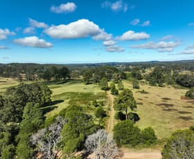 Rural / Farming commercial property for sale at 355 Doyles River Road Elands NSW 2429