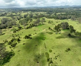 Rural / Farming commercial property for sale at 355 Doyles River Road Elands NSW 2429