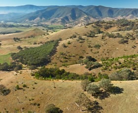 Rural / Farming commercial property sold at 570B Bald Hills Creek Road Swifts Creek VIC 3896