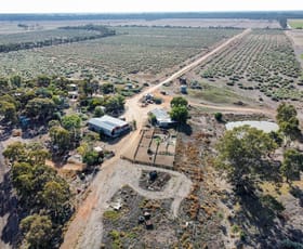 Rural / Farming commercial property for sale at 410 Wearne Road Pental Island VIC 3586