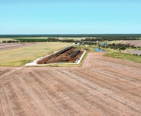 Rural / Farming commercial property for sale at 303 Fletts Road Hopeland QLD 4413