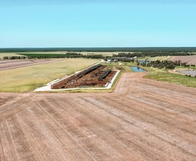 Rural / Farming commercial property sold at 303 Fletts Road Hopeland QLD 4413