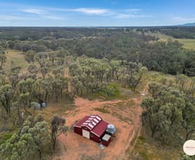 Rural / Farming commercial property for sale at Morangarell NSW 2666