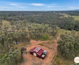 Rural / Farming commercial property for sale at 34 McGregor Street Morangarell NSW 2666