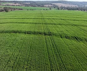 Rural / Farming commercial property for sale at Innesvale Warialda NSW 2402
