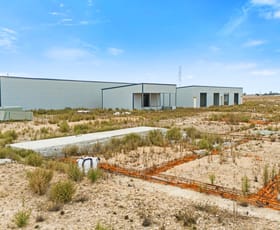 Rural / Farming commercial property for sale at 125 Lomandra Road Tailem Bend SA 5260