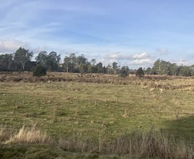Rural / Farming commercial property sold at 317 South Nietta Road Nietta TAS 7315