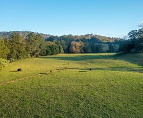 Rural / Farming commercial property for sale at 1021 South Arm Road South Arm NSW 2449