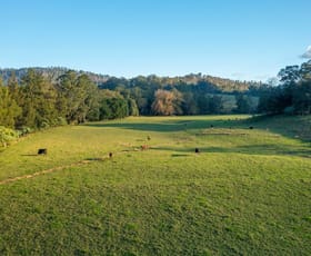 Rural / Farming commercial property sold at 1021 South Arm Road South Arm NSW 2449