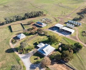 Rural / Farming commercial property sold at 128 Norah Creek Road Molong NSW 2866