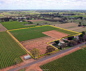 Rural / Farming commercial property for sale at Lot 2/70 Belar Avenue Extension Irymple VIC 3498