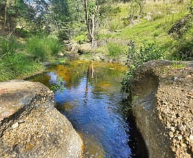 Rural / Farming commercial property for sale at 1160 Castlerock Road Castle Rock NSW 2333