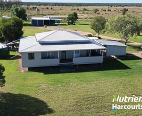 Rural / Farming commercial property sold at "Bottletree" 668 Red Hill Road Chinchilla QLD 4413