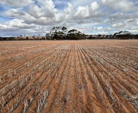Rural / Farming commercial property sold at Lot 308 Burton Road Ambania WA 6632