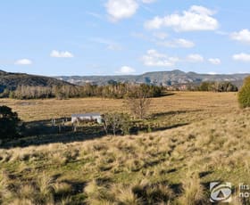 Rural / Farming commercial property for sale at 1513 Nullo Mountain Road Rylstone NSW 2849