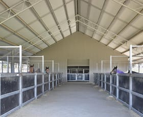 Rural / Farming commercial property for sale at 464 Bumballa Road Wingello NSW 2579