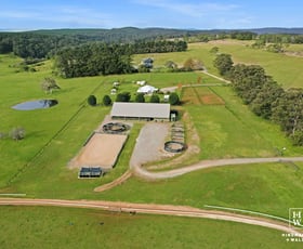 Rural / Farming commercial property for sale at 464 Bumballa Road Wingello NSW 2579