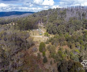 Rural / Farming commercial property for sale at 28 Sara River Road Mount Mitchell NSW 2365