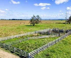 Rural / Farming commercial property for sale at Lot/224 & 226 McCarthy Lane Clybucca NSW 2440