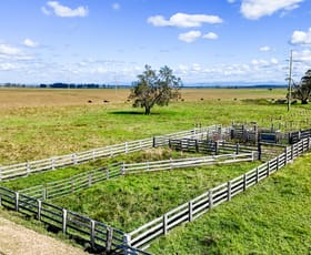 Rural / Farming commercial property sold at Lot/224 & 226 McCarthy Lane Clybucca NSW 2440