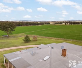Rural / Farming commercial property for sale at 1450 Castlereagh Highway Gulgong NSW 2852
