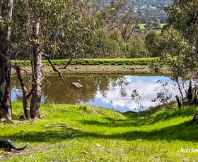 Rural / Farming commercial property sold at 6000 Great Northern Highway Bindoon WA 6502