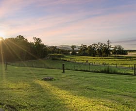 Rural / Farming commercial property sold at 70607 Bruce Highway Aloomba QLD 4871
