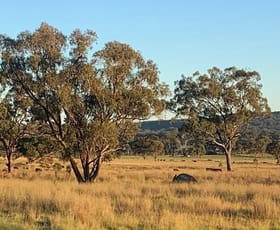 Rural / Farming commercial property for sale at 2087 Rabbit Fence Road Dalveen QLD 4374