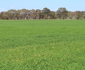 Rural / Farming commercial property sold at Lot 91 Old Caves Road Mount Light SA 5271
