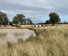Rural / Farming commercial property sold at Lot 1 & 3 Kampfs Road Goombungee QLD 4354