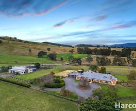 Rural / Farming commercial property for sale at 319 Chichester Dam Road Dungog NSW 2420